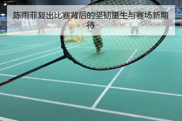 陈雨菲复出比赛背后的坚韧重生与赛场新期待