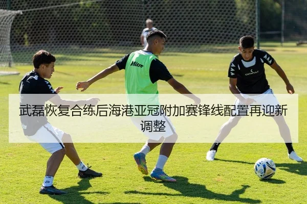 武磊恢复合练后海港亚冠附加赛锋线配置再迎新调整
